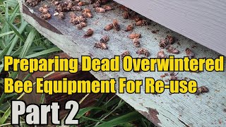 Preparing Dead Overwinter Bee Equipment For Re-Use (Part 2)