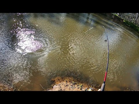 Absolute carpfest insane big carp fishing including my biggest carp