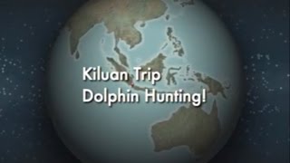 preview picture of video 'Kiluan Bay, Indonesia - Beach, Wild Dolphin, Traveller must go destinations'