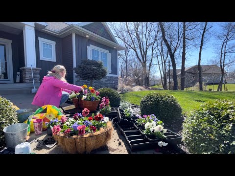 Spring????Flowers for My Porch: Pansies, Stock, Ranunculus, Violas & Snapdragons! Garden Center Trip????