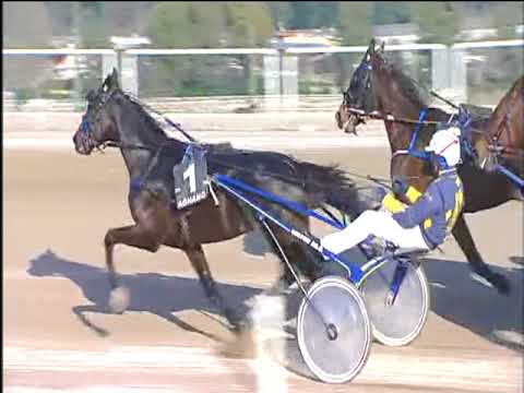 Trotto 11/02/2018 - 3ª corsa