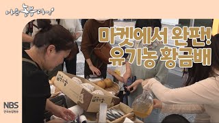 [나는농부다 271회] 마켓에서 완판! 유기농 황금배