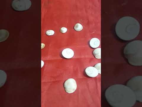 Chamatkari gomati chakra ke prayog se karein samasya khatam (fullfill wishes by gomti chakras