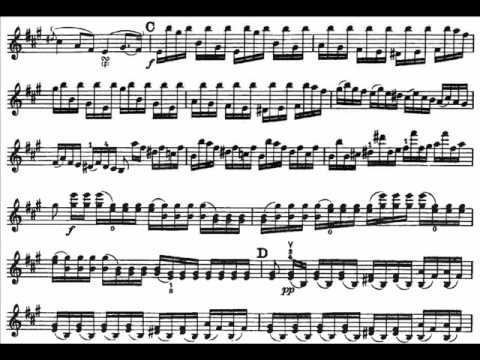 Viotti, Giovanni B. violin concerto 22 mvt1(begin) Moderato