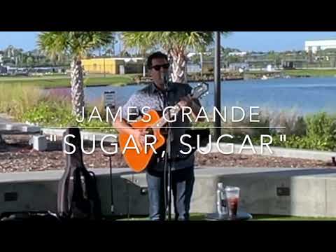 Promotional video thumbnail 2 for James Grande