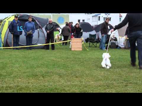 2011.10.09.CAC Zabrze.wmv