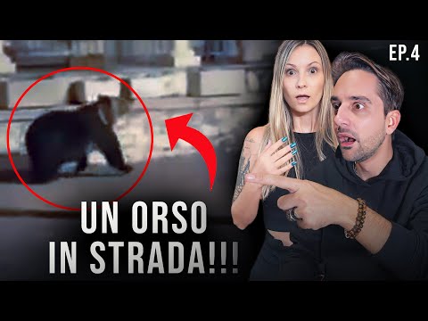 ABBIAMO RISCHIATO DI ESSERE ATTACCATI DA UN ORSO IN ROMANIA | Notte 4