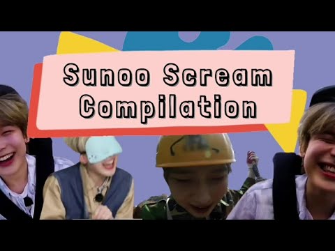Sunoo Scream Compilation || Kompilasi Teriakan Sunoo