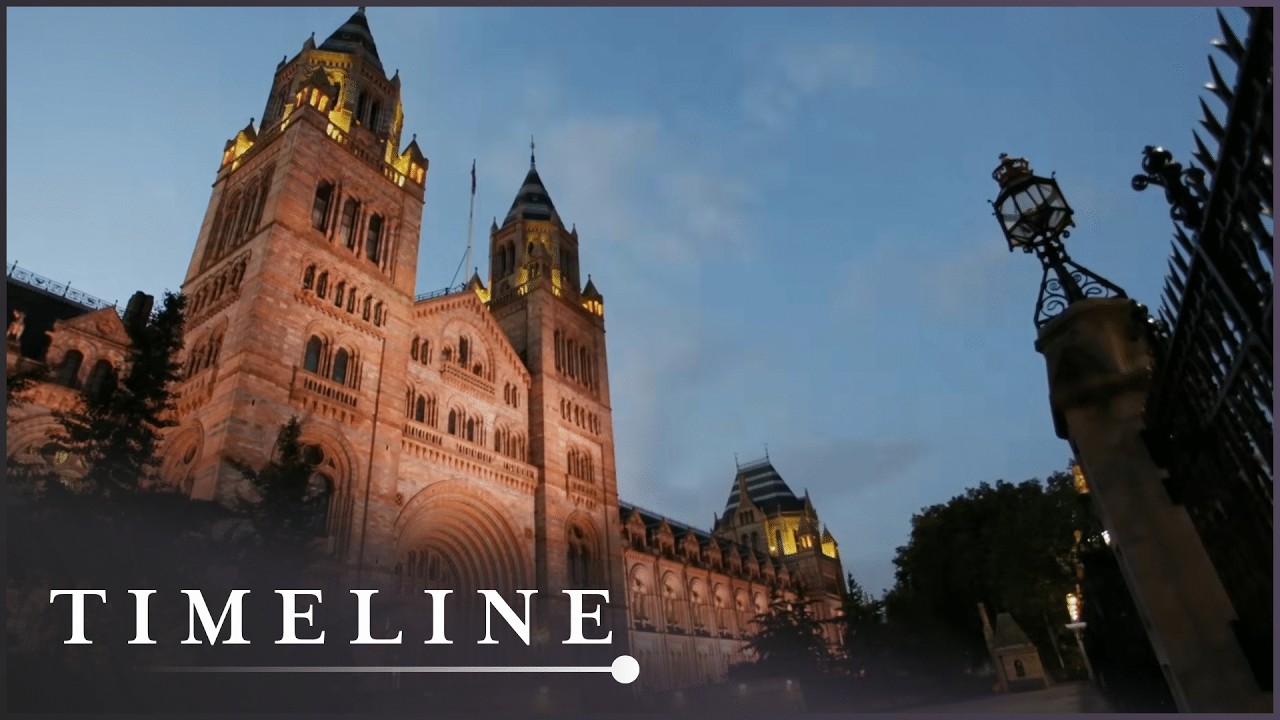 Secrets Of The Natural History Museum: Britain's Dark And Disturbing History