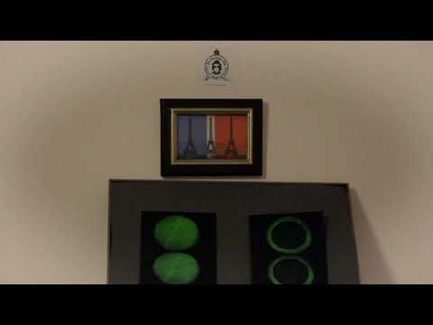 Der Knorkige Don - De Zorro von donte Fisto (Sodom und Gomorrha)