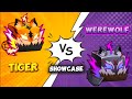 New Tiger Werewolf Showcase In Blox Fruits Full Ability Transformation Review