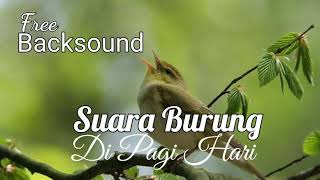 Download lagu Suara Burung (Bird) di pagi hari, Free BackSound mp3