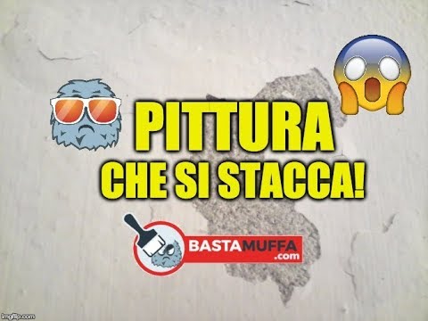Lyambliya a bambini di 5 mesi Metodi moderni di disposizione di parassiti
