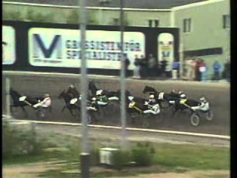 Elitloppet 1984 -The Onion