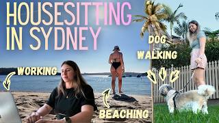 Day in the Life of a full-time housesitter living in Sydney!