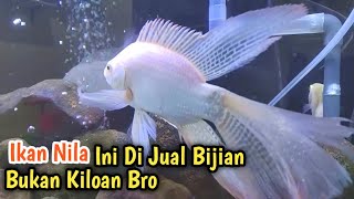 Download lagu Ikan Nila ini lumayan mahal bro | Ikan Nila Slayer mp3