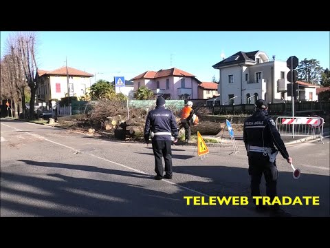 TELEWEB TRADATE - 07/03/2020 - INIZIO LAVORI ROTONDA VIALE MARCONI