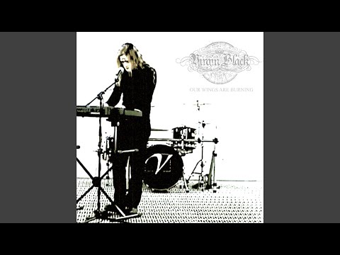 Our Wings Are Burning