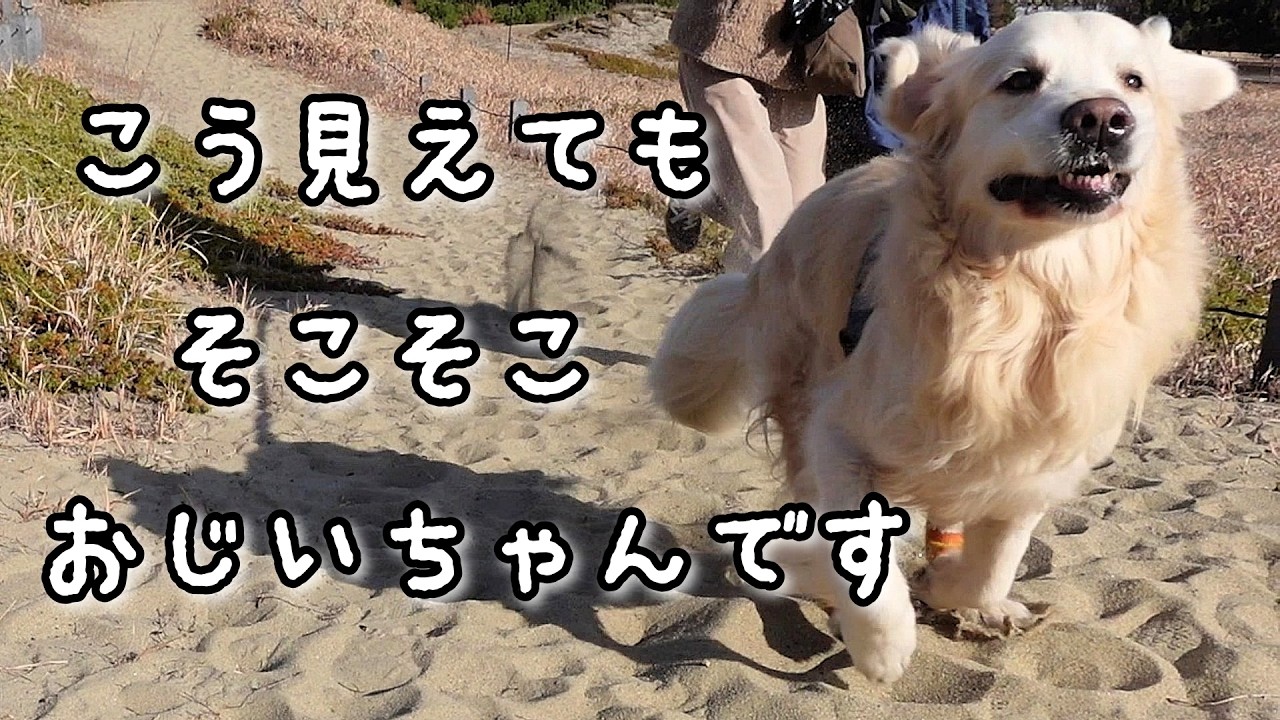 お腹が痛くても元気なおじいちゃんは走って！走って！我が道を行く