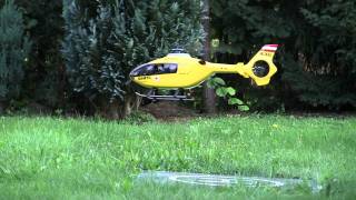 preview picture of video 'Maiden flight T-Rex 450 - EC 135'