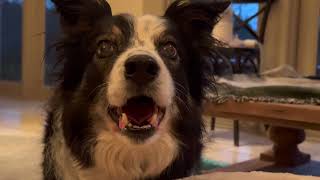 Idgie's fifteenth birthday