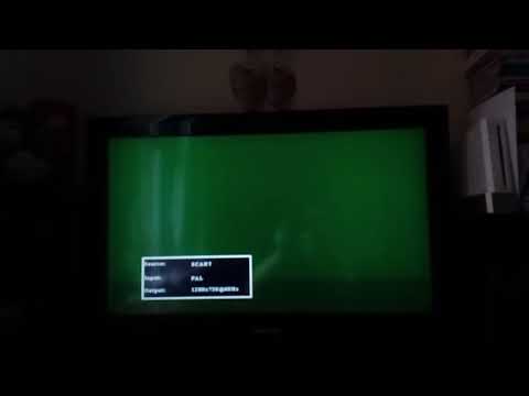 Domingo v1.1 picture