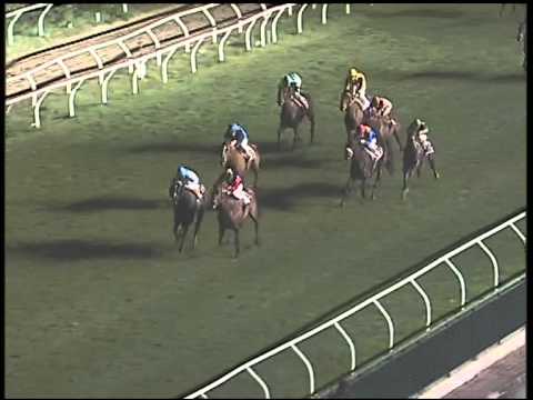 Galoppo 30/01/2015 - 6° corsa