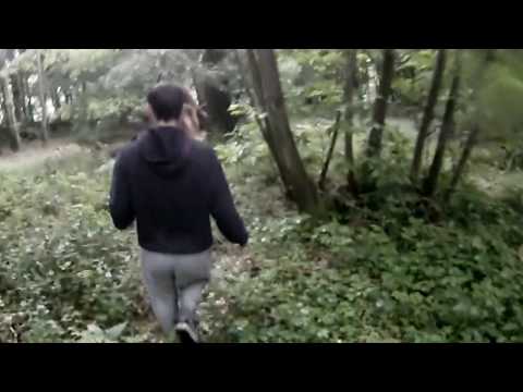 A walk in Cuxton woods