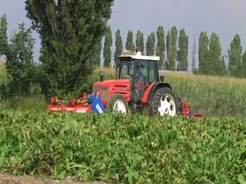 SUGAR BEET DEFOLIATOR - DEFOGLIATRICE PER BARBABIETOLE.WMV