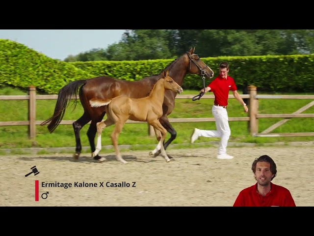 Ermitage van't Asbroek Z
