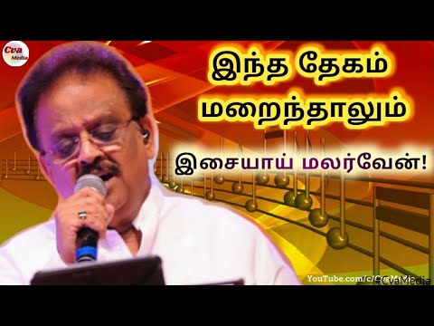 Sangeetha Megam song | ilayaraja special | SPB songs | Mohan Hits | சங்கீத மேகம் HD | Tamil