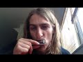 HOW TO PLAY LITTLE WALTER'S JUKE WILL WILDE HARMONICA