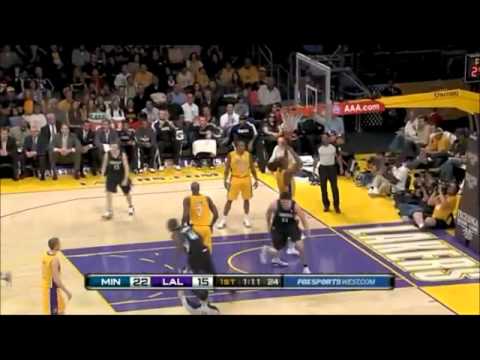 Wesley Johnson rookie mix