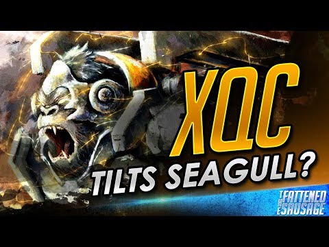 xQc Sweeps Seagull; Seagull Gets Tilted