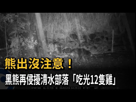 Beware of bears in Hualien! One has invaded the Qingshui tribe again, \eating up 12 chickens\ - F...