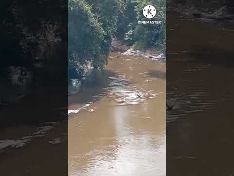 Rio Tapiracuí, TAPIRA-PR ❤️ Inscreva-se no nosso canal