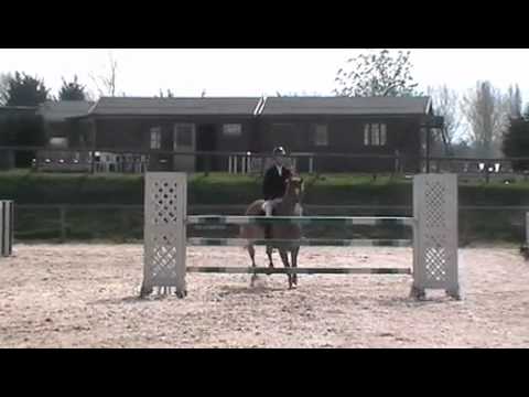 Aristo Z (April 2011)