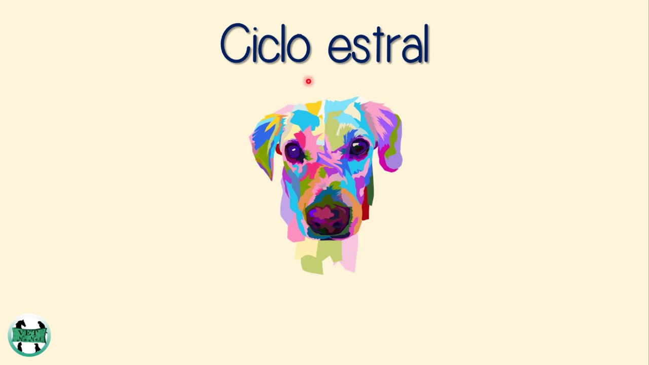 Aula 9: Ciclo estral dos animais domésticos