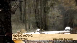 Mahesa - Ayang Ayang (Official Music Video)