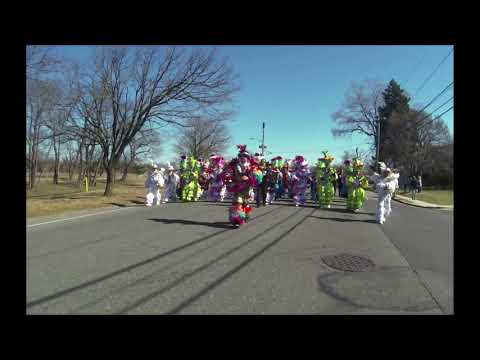 WOODLAND STRING BAND -  IRISH EYES ARE SMILING