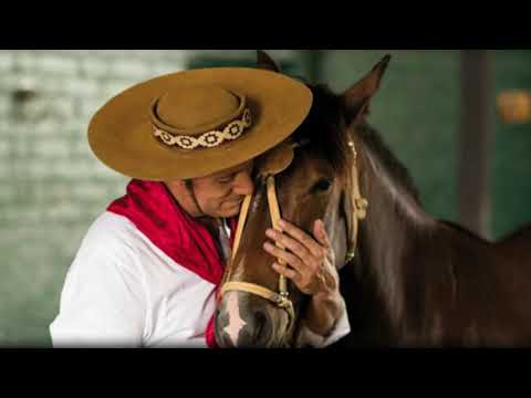 Walther Morais - Dia de Chuva