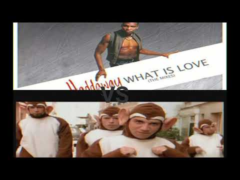HADDAWAY VS BLOODHOUND GANG (NIUCHACA)