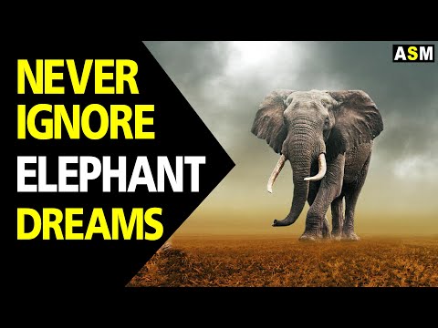 What does Elephant Dream Meaning | Dreaming of Elephant | Elephant Dream Interpretation