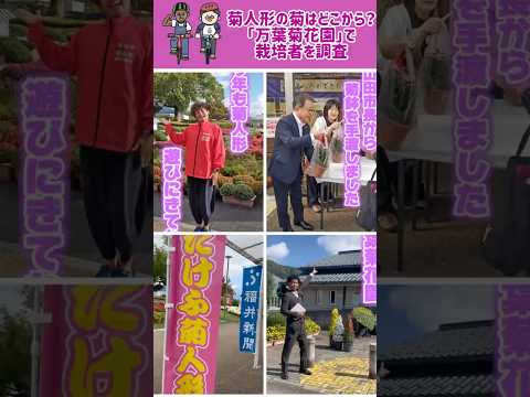 なぜ芳香植物や薬用植物を庭で育てるのでしょうか?  庭園