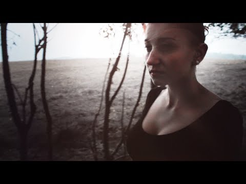 Zero ALPA - "Tymczasem Borem Lasem" - Trailer