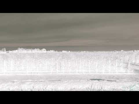 Christian Ravaglioli - Carisma