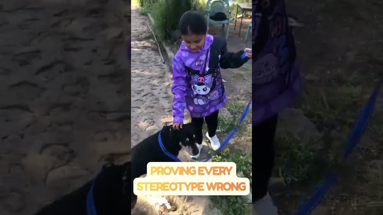 Enlarge Vito, a Adoptable mixed breed in Sherwood, OR video 3/6