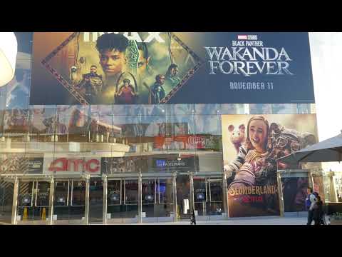 Wakanda Forever at Slumberland LA Premiere Century City AMC 15 Theatre California USA Nov 9, 2022