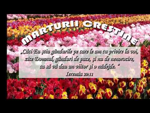 Marturie Camelia Botar