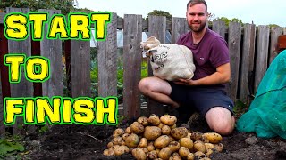 Growing Potatoes from Start to Finish -  In a UK Allotment